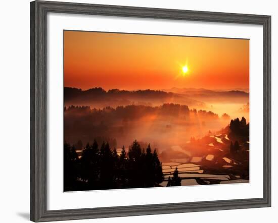 Rice Terrace at Dawn-null-Framed Photographic Print