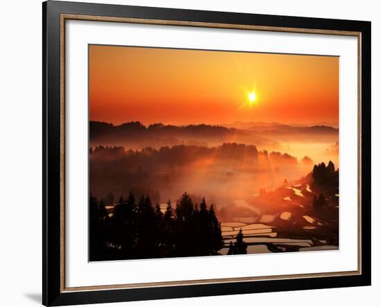 Rice Terrace at Dawn-null-Framed Photographic Print