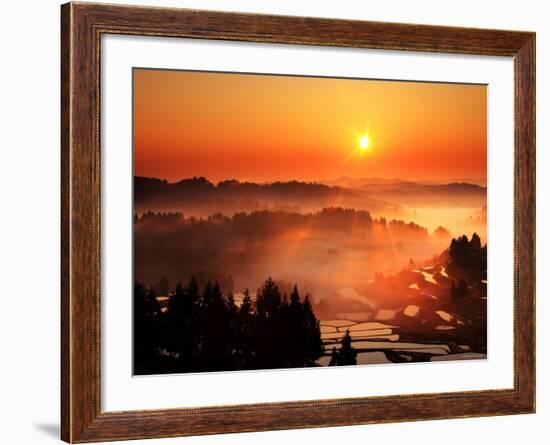 Rice Terrace at Dawn-null-Framed Photographic Print