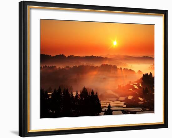 Rice Terrace at Dawn-null-Framed Photographic Print