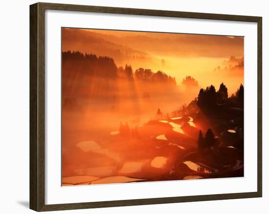 Rice Terrace at Dawn-null-Framed Photographic Print