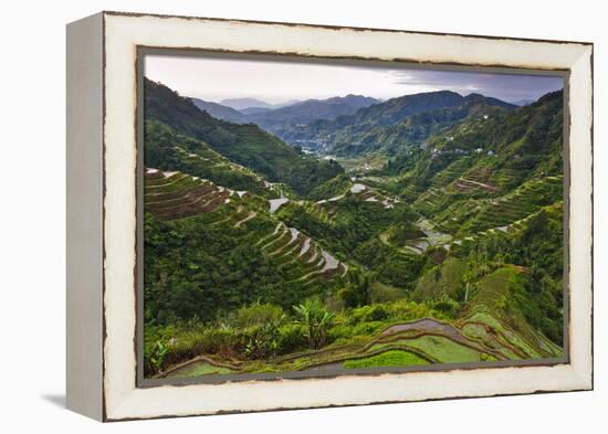 Rice Terraces, Agriculture, Philippine Cordilleras, Banaue, Ifugao, Philippines-Keren Su-Framed Premier Image Canvas