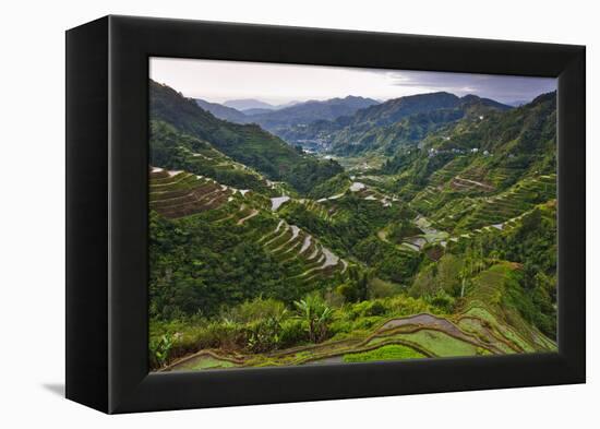 Rice Terraces, Agriculture, Philippine Cordilleras, Banaue, Ifugao, Philippines-Keren Su-Framed Premier Image Canvas