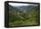 Rice Terraces, Agriculture, Philippine Cordilleras, Banaue, Ifugao, Philippines-Keren Su-Framed Premier Image Canvas