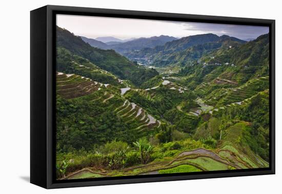 Rice Terraces, Agriculture, Philippine Cordilleras, Banaue, Ifugao, Philippines-Keren Su-Framed Premier Image Canvas