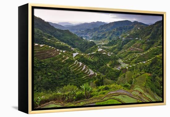 Rice Terraces, Agriculture, Philippine Cordilleras, Banaue, Ifugao, Philippines-Keren Su-Framed Premier Image Canvas