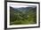 Rice Terraces, Agriculture, Philippine Cordilleras, Banaue, Ifugao, Philippines-Keren Su-Framed Photographic Print