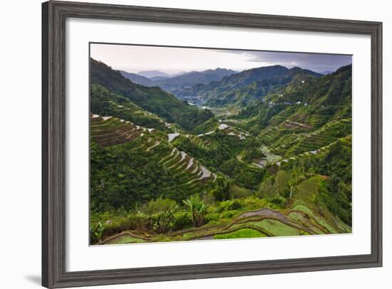 Rice Terraces, Agriculture, Philippine Cordilleras, Banaue, Ifugao, Philippines-Keren Su-Framed Photographic Print