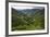 Rice Terraces, Agriculture, Philippine Cordilleras, Banaue, Ifugao, Philippines-Keren Su-Framed Photographic Print