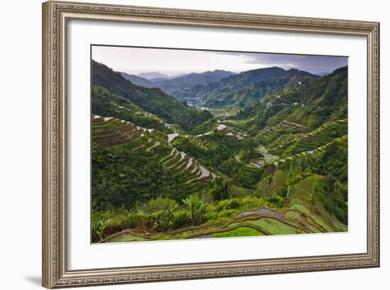 Rice Terraces, Agriculture, Philippine Cordilleras, Banaue, Ifugao, Philippines-Keren Su-Framed Photographic Print