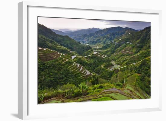 Rice Terraces, Agriculture, Philippine Cordilleras, Banaue, Ifugao, Philippines-Keren Su-Framed Photographic Print