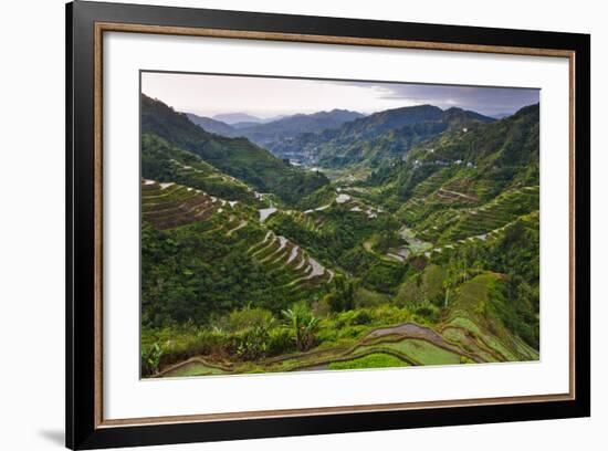 Rice Terraces, Agriculture, Philippine Cordilleras, Banaue, Ifugao, Philippines-Keren Su-Framed Photographic Print