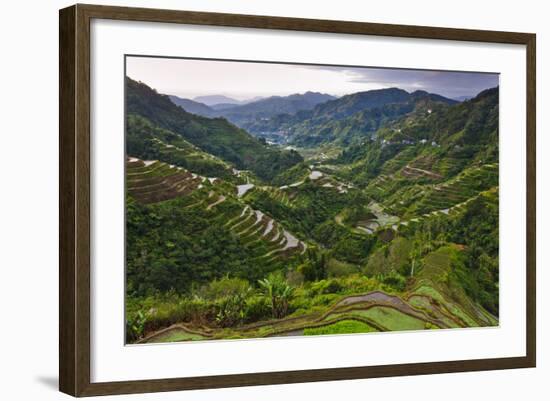 Rice Terraces, Agriculture, Philippine Cordilleras, Banaue, Ifugao, Philippines-Keren Su-Framed Photographic Print