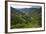 Rice Terraces, Agriculture, Philippine Cordilleras, Banaue, Ifugao, Philippines-Keren Su-Framed Photographic Print