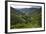 Rice Terraces, Agriculture, Philippine Cordilleras, Banaue, Ifugao, Philippines-Keren Su-Framed Photographic Print