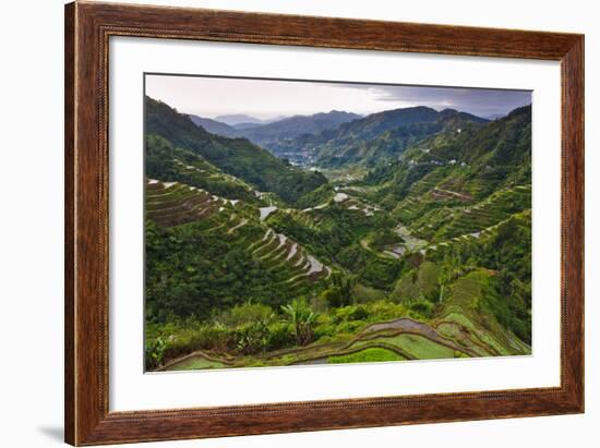 Rice Terraces, Agriculture, Philippine Cordilleras, Banaue, Ifugao, Philippines-Keren Su-Framed Photographic Print