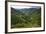 Rice Terraces, Agriculture, Philippine Cordilleras, Banaue, Ifugao, Philippines-Keren Su-Framed Photographic Print