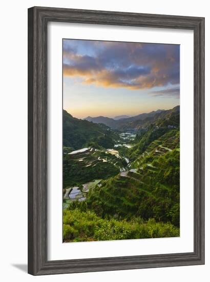 Rice Terraces, Agriculture, Philippine Cordilleras, Banaue, Ifugao, Philippines-Keren Su-Framed Photographic Print