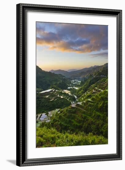 Rice Terraces, Agriculture, Philippine Cordilleras, Banaue, Ifugao, Philippines-Keren Su-Framed Photographic Print