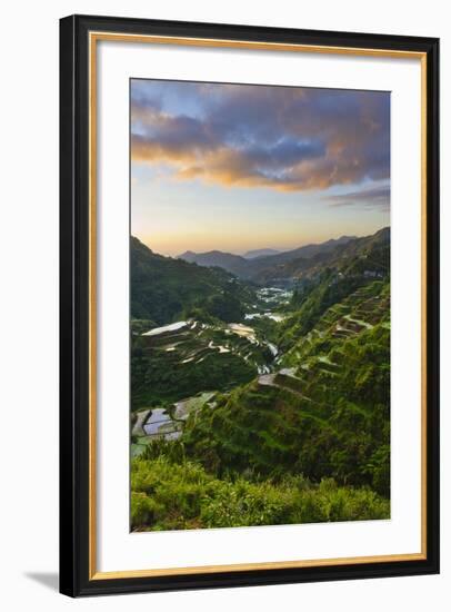 Rice Terraces, Agriculture, Philippine Cordilleras, Banaue, Ifugao, Philippines-Keren Su-Framed Photographic Print