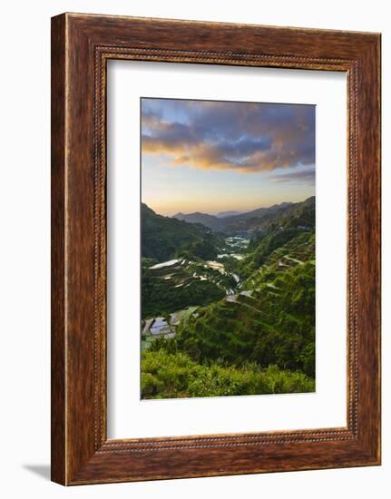 Rice Terraces, Agriculture, Philippine Cordilleras, Banaue, Ifugao, Philippines-Keren Su-Framed Photographic Print