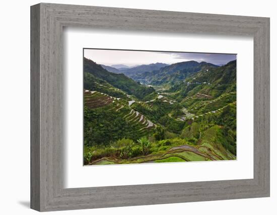 Rice Terraces, Agriculture, Philippine Cordilleras, Banaue, Ifugao, Philippines-Keren Su-Framed Photographic Print