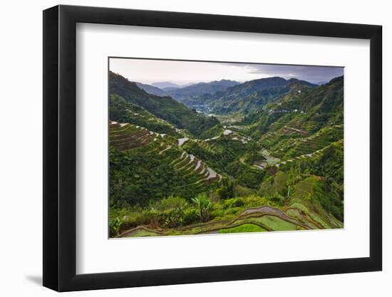 Rice Terraces, Agriculture, Philippine Cordilleras, Banaue, Ifugao, Philippines-Keren Su-Framed Photographic Print