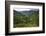 Rice Terraces, Agriculture, Philippine Cordilleras, Banaue, Ifugao, Philippines-Keren Su-Framed Photographic Print