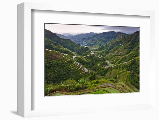 Rice Terraces, Agriculture, Philippine Cordilleras, Banaue, Ifugao, Philippines-Keren Su-Framed Photographic Print