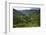 Rice Terraces, Agriculture, Philippine Cordilleras, Banaue, Ifugao, Philippines-Keren Su-Framed Photographic Print