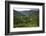 Rice Terraces, Agriculture, Philippine Cordilleras, Banaue, Ifugao, Philippines-Keren Su-Framed Photographic Print