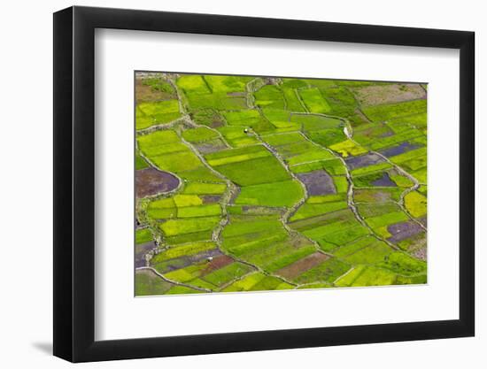 Rice Terraces, Agriculture, Philippine Cordilleras, Banaue, Ifugao, Philippines-Keren Su-Framed Photographic Print