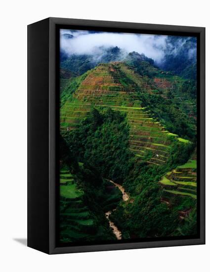 Rice Terraces Around Banaue, Banaue, Philippines-Richard I'Anson-Framed Premier Image Canvas