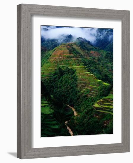 Rice Terraces Around Banaue, Banaue, Philippines-Richard I'Anson-Framed Photographic Print