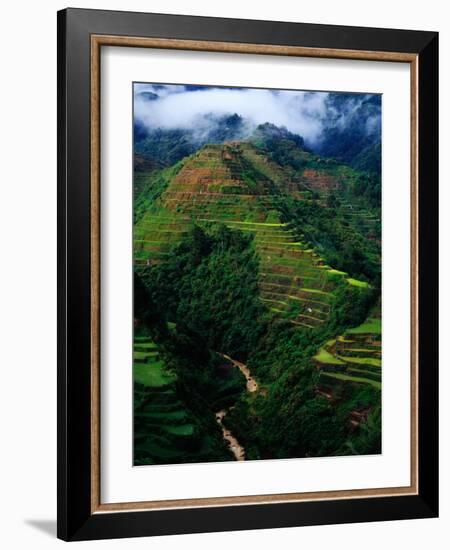 Rice Terraces Around Banaue, Banaue, Philippines-Richard I'Anson-Framed Photographic Print