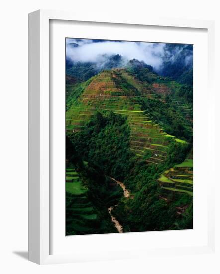 Rice Terraces Around Banaue, Banaue, Philippines-Richard I'Anson-Framed Photographic Print