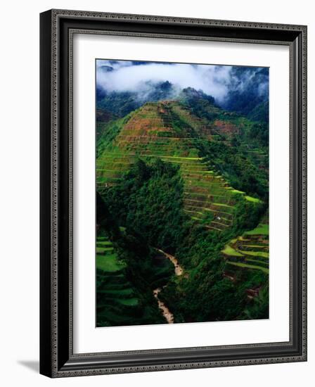 Rice Terraces Around Banaue, Banaue, Philippines-Richard I'Anson-Framed Photographic Print