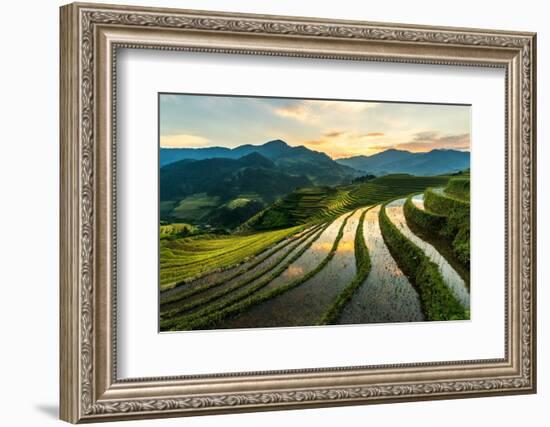 Rice Terraces at Mu Cang Chai, Vietnam-Chan Srithaweeporn-Framed Photographic Print