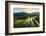 Rice Terraces at Mu Cang Chai, Vietnam-Chan Srithaweeporn-Framed Photographic Print