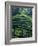 Rice Terraces, Bali, Indonesia, Southeast Asia-Harding Robert-Framed Photographic Print