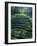 Rice Terraces, Bali, Indonesia, Southeast Asia-Harding Robert-Framed Photographic Print