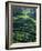 Rice Terraces, Bali, Indonesia, Southeast Asia-Harding Robert-Framed Photographic Print