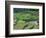 Rice Terraces, Bali, Indonesia-Art Wolfe-Framed Photographic Print