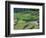 Rice Terraces, Bali, Indonesia-Art Wolfe-Framed Photographic Print