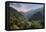 Rice Terraces from Bontoc to Banaue, Luzon, Philippines-Michael Runkel-Framed Premier Image Canvas