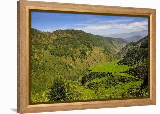 Rice Terraces from Bontoc to Banaue, Luzon, Philippines-Michael Runkel-Framed Premier Image Canvas