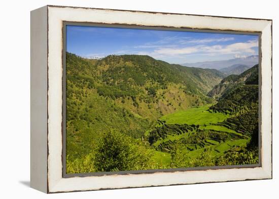 Rice Terraces from Bontoc to Banaue, Luzon, Philippines-Michael Runkel-Framed Premier Image Canvas