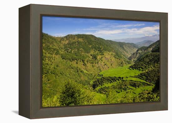 Rice Terraces from Bontoc to Banaue, Luzon, Philippines-Michael Runkel-Framed Premier Image Canvas