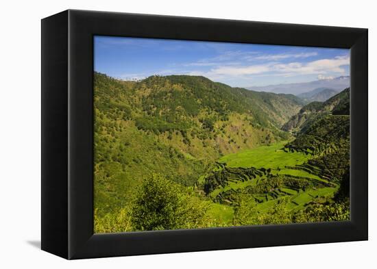 Rice Terraces from Bontoc to Banaue, Luzon, Philippines-Michael Runkel-Framed Premier Image Canvas