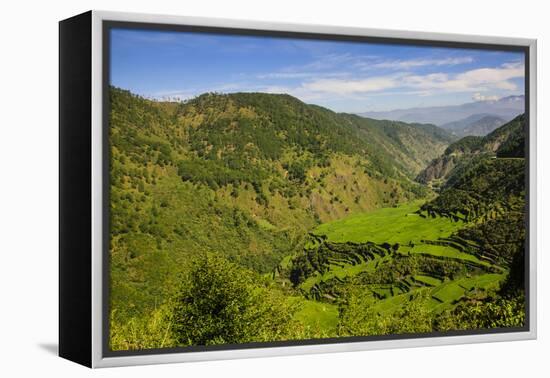 Rice Terraces from Bontoc to Banaue, Luzon, Philippines-Michael Runkel-Framed Premier Image Canvas